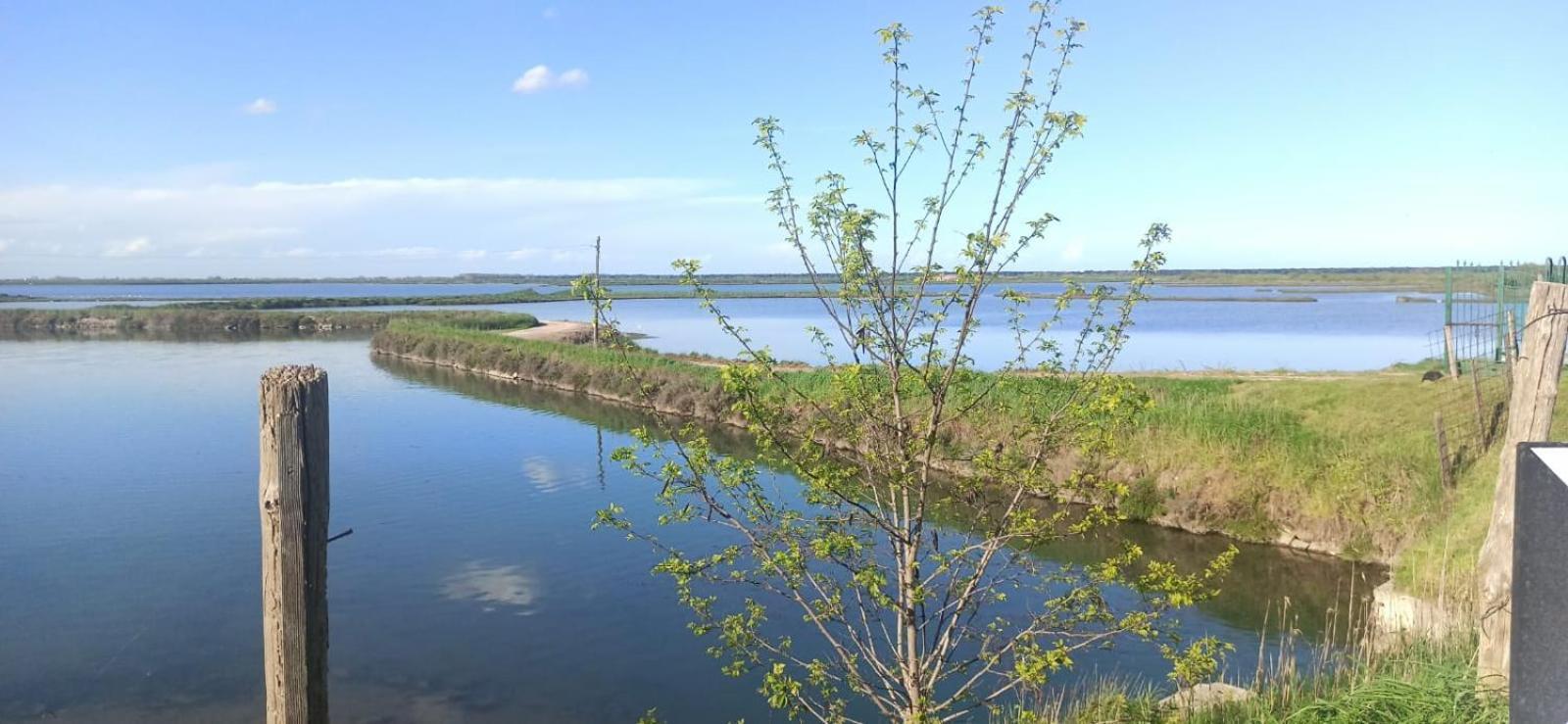 Casa Vacanze Nel Delta Del Po Taglio Di Po Экстерьер фото