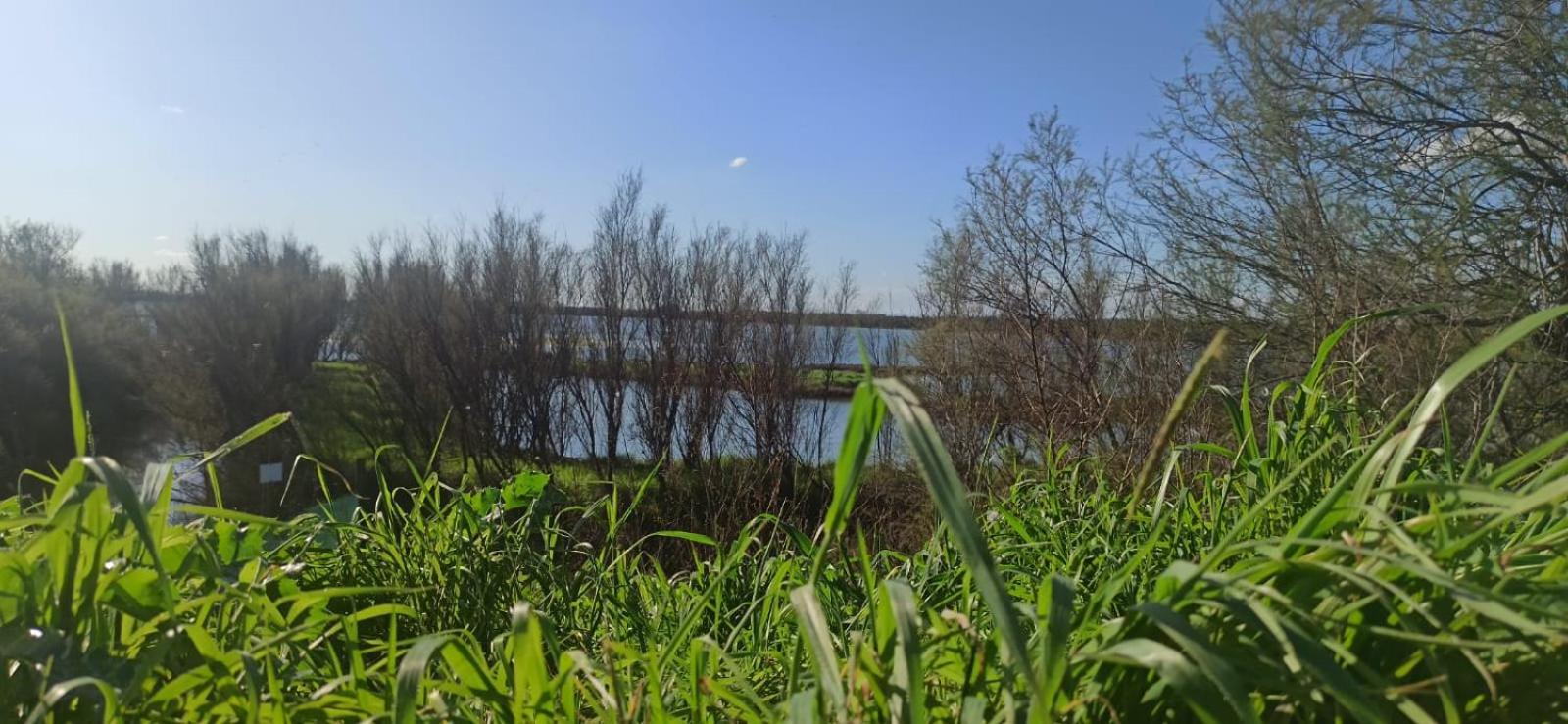 Casa Vacanze Nel Delta Del Po Taglio Di Po Экстерьер фото