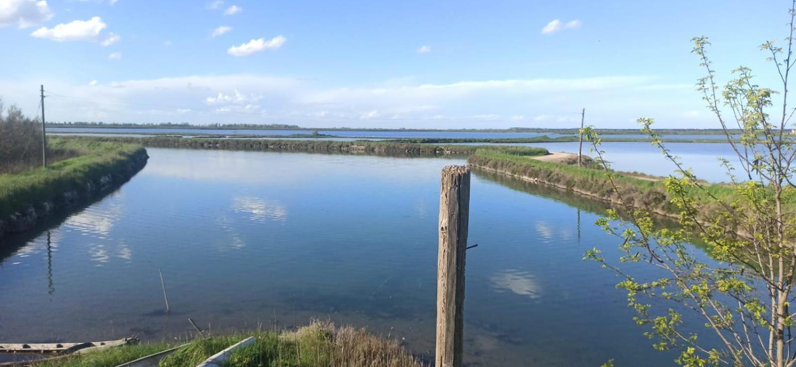 Casa Vacanze Nel Delta Del Po Taglio Di Po Экстерьер фото