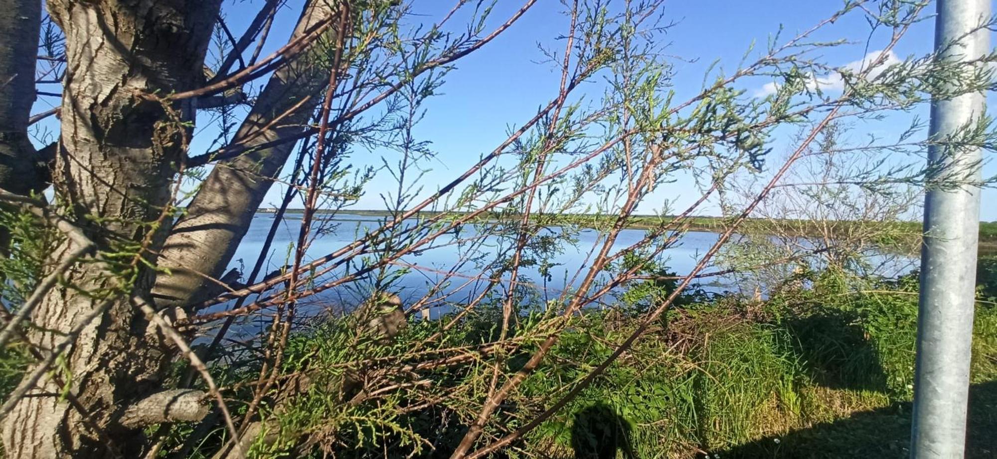 Casa Vacanze Nel Delta Del Po Taglio Di Po Экстерьер фото