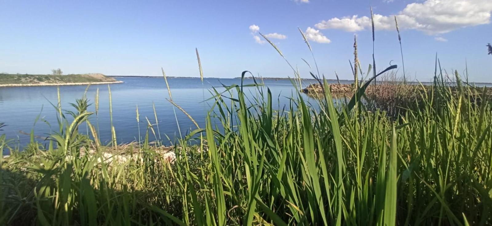 Casa Vacanze Nel Delta Del Po Taglio Di Po Экстерьер фото