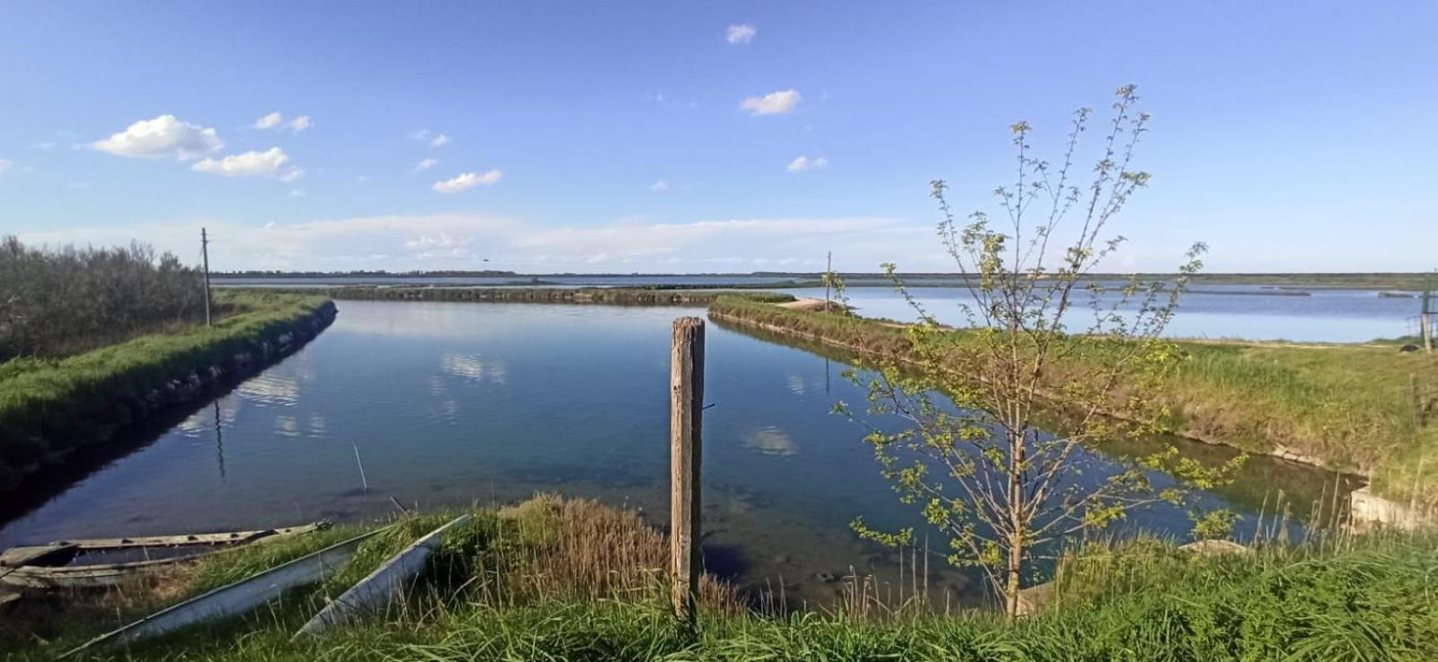 Casa Vacanze Nel Delta Del Po Taglio Di Po Экстерьер фото