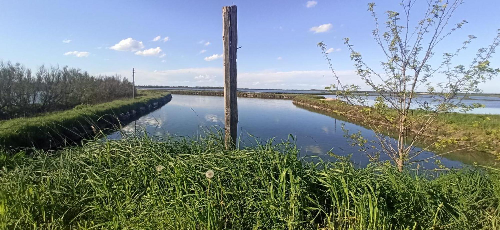 Casa Vacanze Nel Delta Del Po Taglio Di Po Экстерьер фото