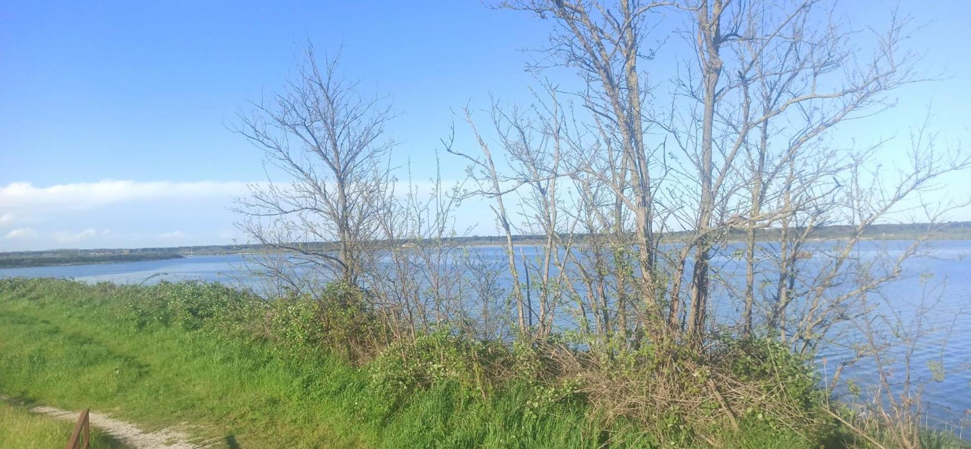 Casa Vacanze Nel Delta Del Po Taglio Di Po Экстерьер фото