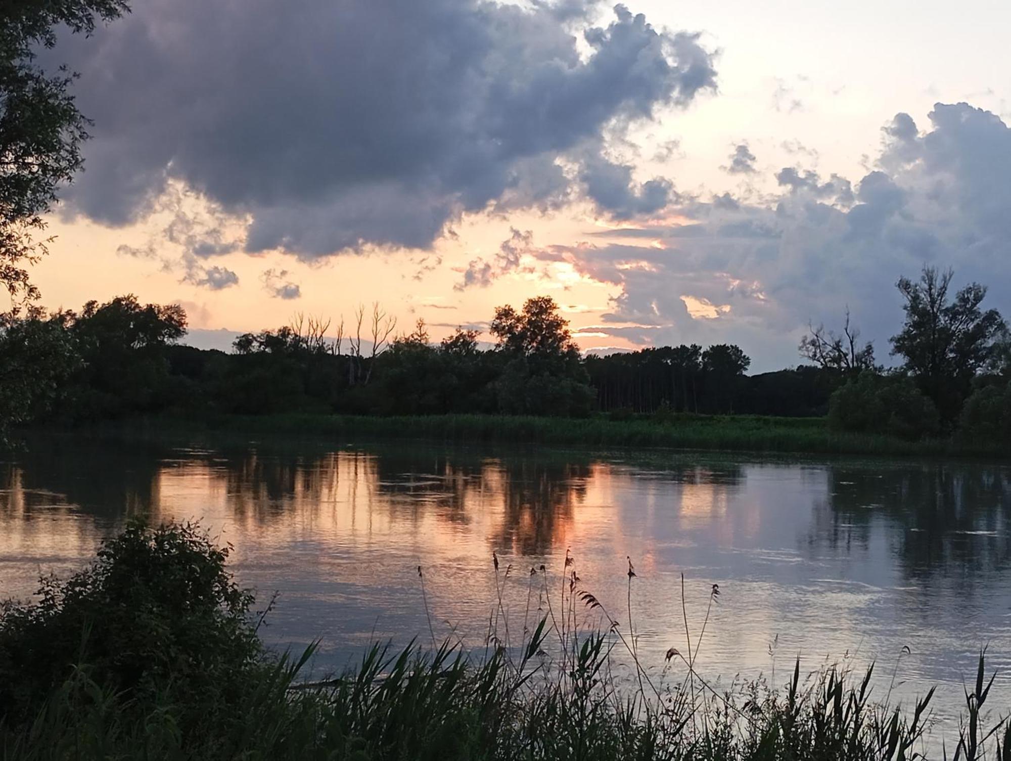 Casa Vacanze Nel Delta Del Po Taglio Di Po Экстерьер фото